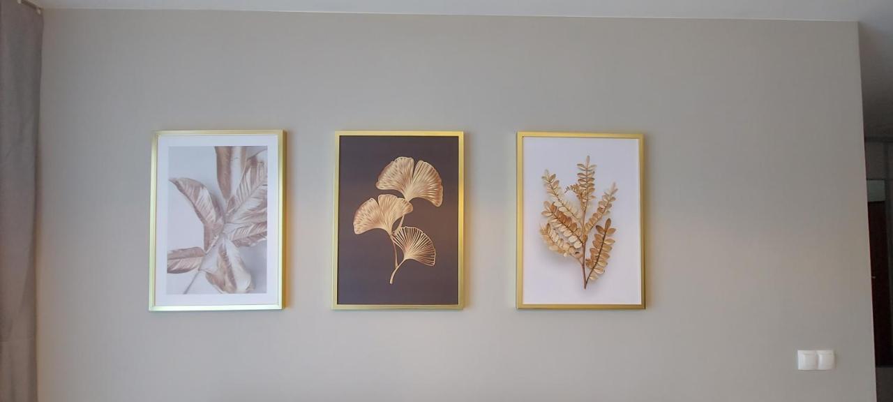 Apartament Barcelona Cracovie Extérieur photo
